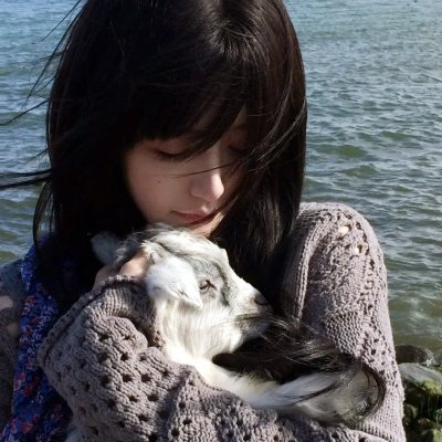 功能失常的猫